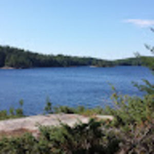 Meet your Posher, Vincent